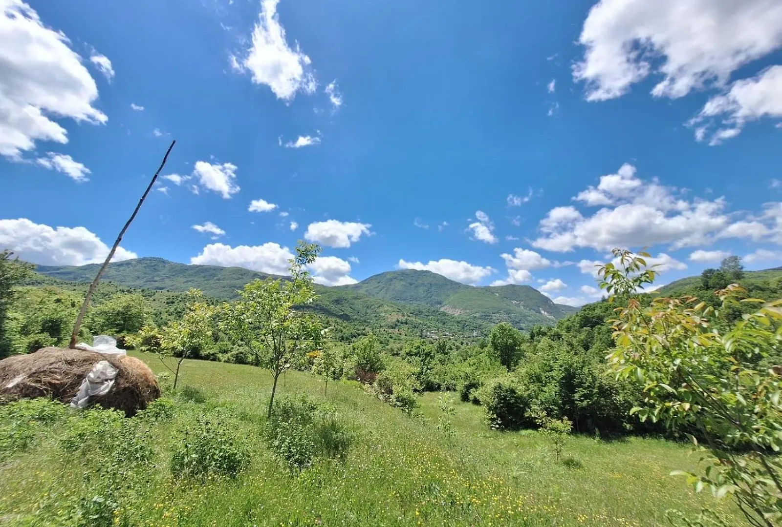 Lodge Vila Disha Tirana