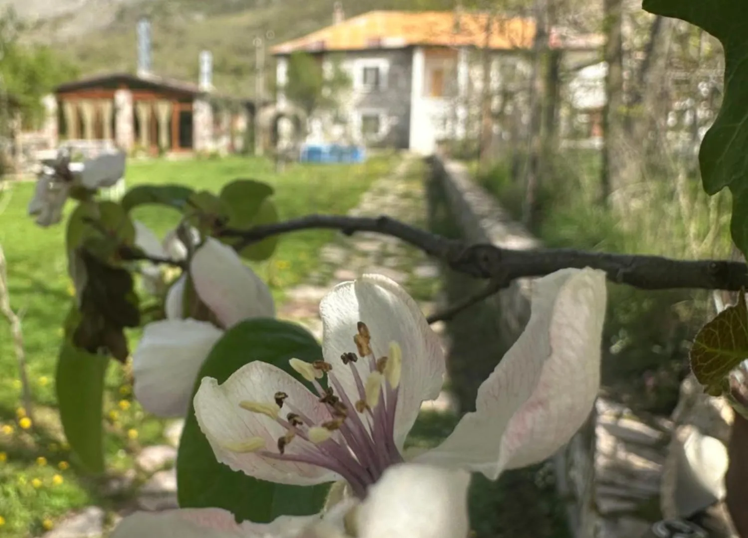 Lodge Vila Disha Tirana