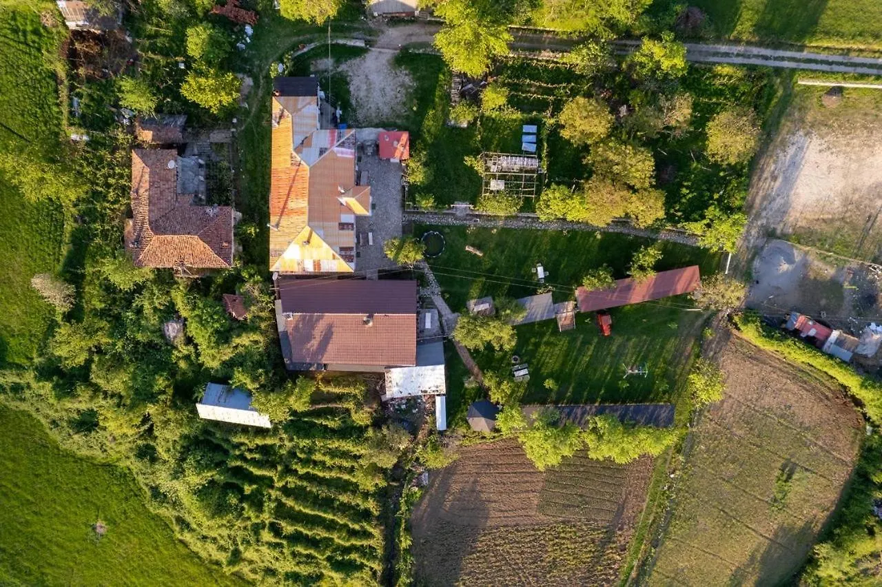 Vila Disha Tirana Chata